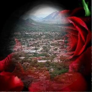 Meet your Posher, Alfonso